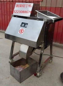 滎陽(yáng)天嘉食品機(jī)械制造廠 蔬菜切丁機(jī)圖片與產(chǎn)品解析
